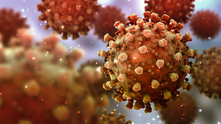 Јапонски научници открија колку долго коронавирусот се задржува на кожата