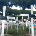 (Видео) Гробишта во Италија каде скришум се погребувале фетуси