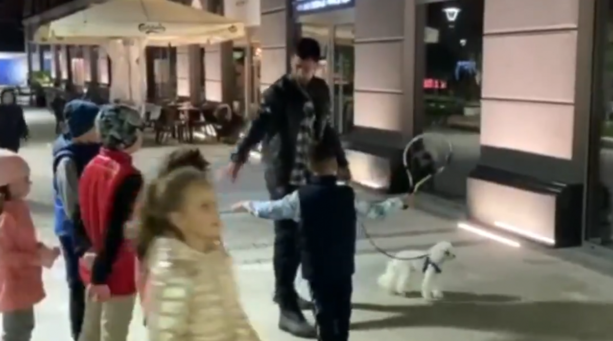 (Видео) Ноле им држи часови на децата во маало додека си го шета кучето