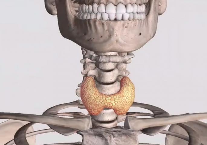 Овие два симптома никако не смеете да ги игнорирате!