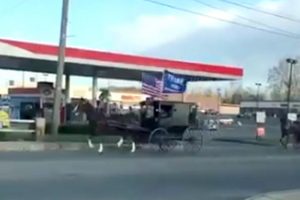(Видео) Амиши го поддржаа Доналд Трамп на изборите