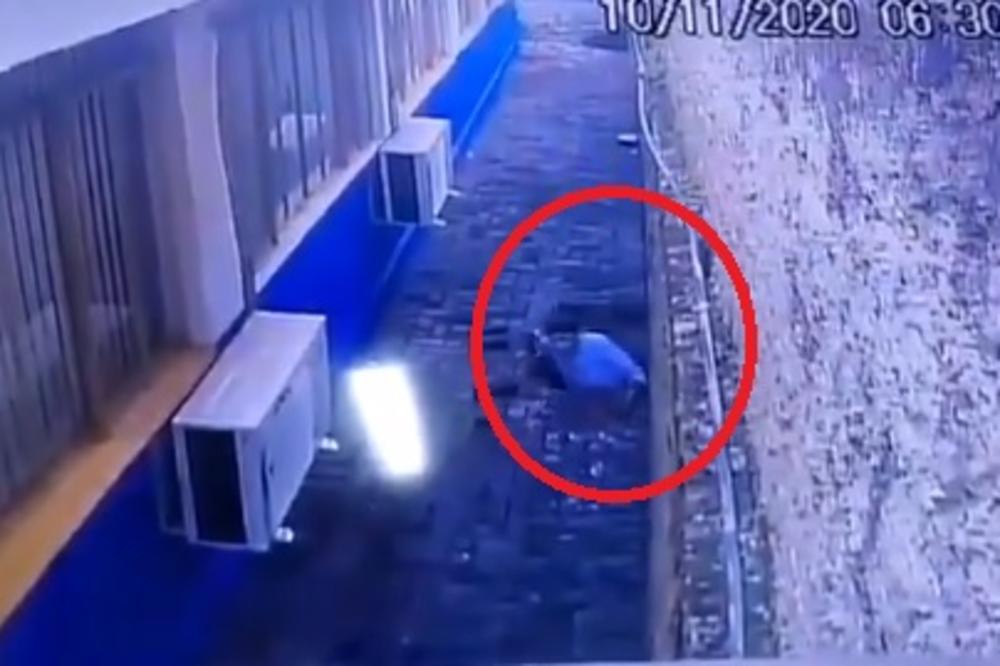 (Видео) Филмско бегство од затвор во Бразил