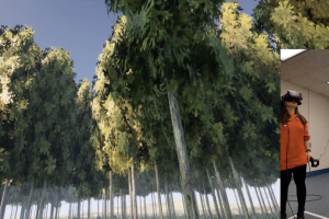 Виртуелна шума ги појаснува негативните ефекти на климатските промени (ВИДЕО)