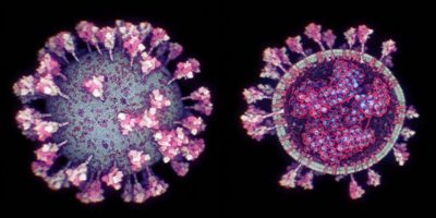 Направен прецизен тридимензионален модел на коронавирусот (Видео)