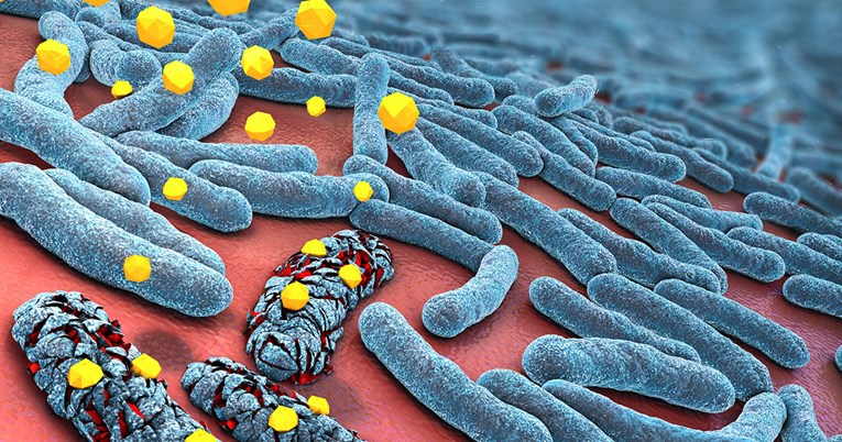Следната пандемија може да предизвика отпорност на микроорганизмите на лекови
