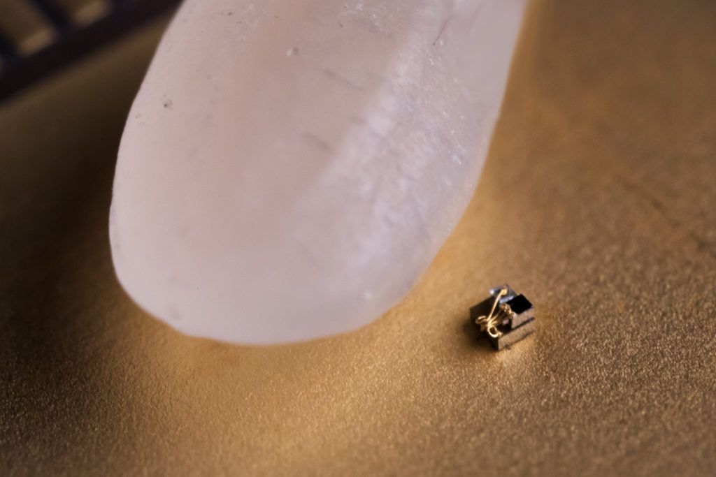 Вака изгледа најмалиот компјутер на светот поставен покрај зрно ориз