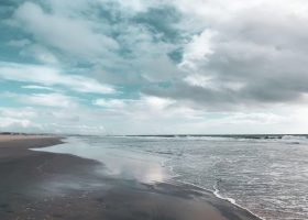 Во океаните завршиле 1,56 милијарди маски