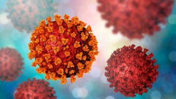 Откриен дежурниот „полицаец“ во човечкиот имунитет што го демне коронавирусот