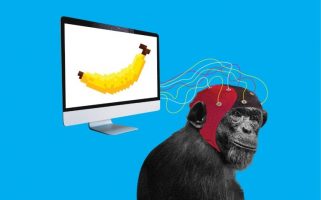 Neuralink на Eлон Маск вгради имплант во мозок на мајмун за да игра видео-игри (ВИДЕО)