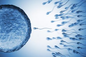 Вест која го загрижи светот: Kоронавирусот може да предизвика стерилитет кај мажите!