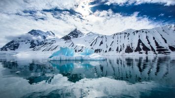 (Видео) Пронајдени животни на карпа под мразот на Антарктикот