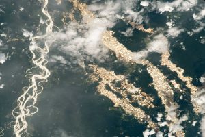 Неверојатна фотографија на NASA открива „реки од злато“ во Амазонската прашума