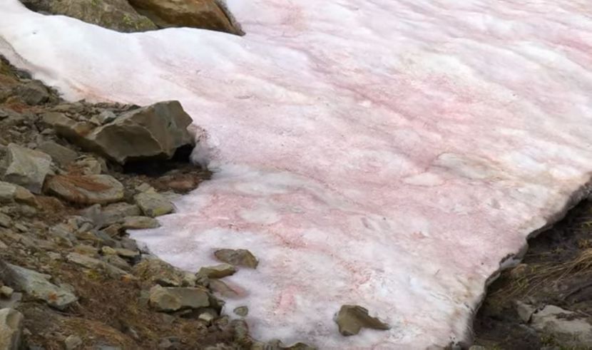 Невообичаен метеоролошки феномен, Германците ги изненади црвен снег (ВИДЕО)