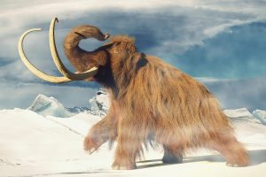 Руски научници истражуваат праисториски вируси пронајдени во “вечниот мраз”