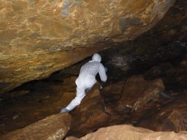 Тимот на СЗО ќе влегува во пештери со лилјаци во Вухан за да бара докази за потеклото на вирусот