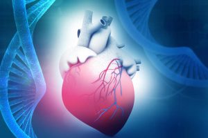 Научниците согласни: Луѓето со оваа крвна група имаат најголем ризик да доживеат срцев удар