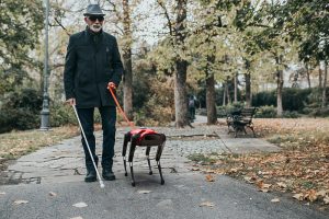 AlphaDog е кинески одговор на роботското куче на Boston Dynamics (ВИДЕО)