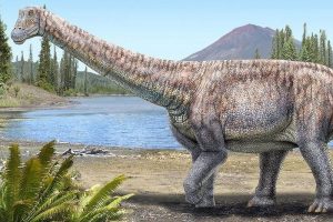 Во Чиле откриен нов вид диносаурус