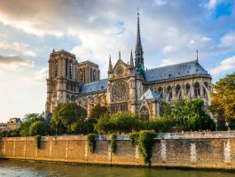За обновата на Богородичната црква во Париз донирани 1000 дабови од познатата француска шума