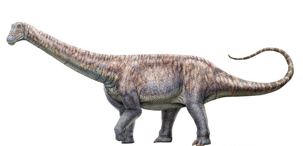 Пронајден нов вид диносаурус во пустината Атакама