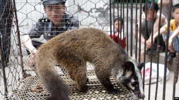 СЗО бара итна забрана за продажба на живи диви животни на пазари за храна