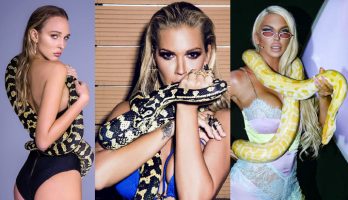 Карлеуша, Аника и Беквалац и со змии на врат за популарнист