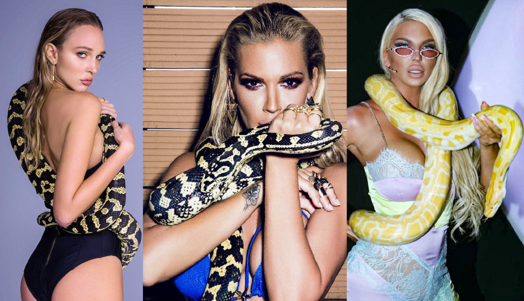 Карлеуша, Аника и Беквалац и со змии на врат за популарнист