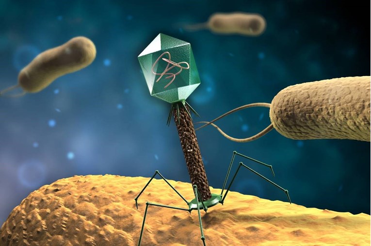 Некои вируси имаат поинаква ДНК која содржи вонземски дел