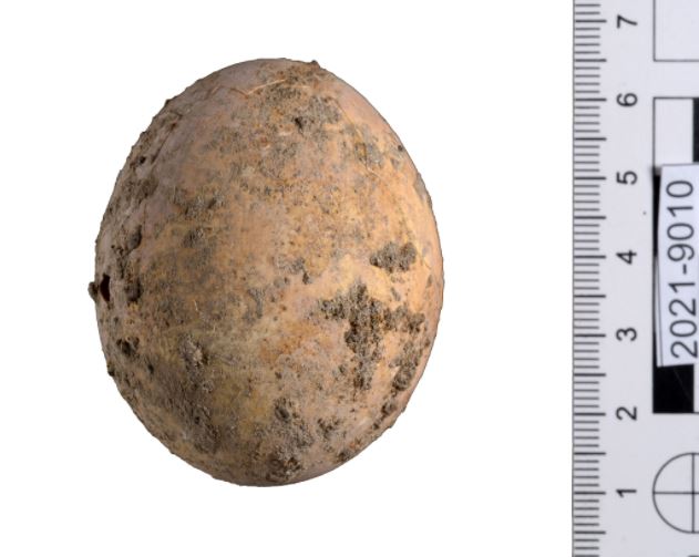 Археолози во Израел открија цело јајце старо 1.000 години!