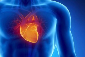 Истражување: Луѓето со оваа крвна група имаат помали шанси од кардиоваскуларни болести