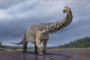 Научници пронајдоа нов вид диносауруси, најголем досега во Австралија (ВИДЕО)