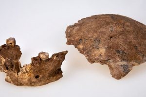 Неандерталците немаат чисто европско потекло како што се веруваше