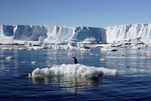 Глобално затоплување: Потврдена нова рекордна температура на Антарктикот