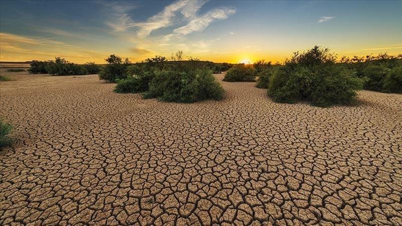 Научниците изненадени од брзината на климатските промени