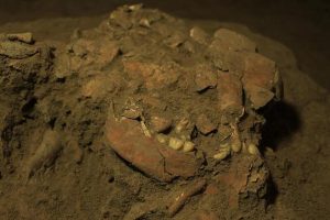 Археолози во Австралија открија досега непозната човечка заедница