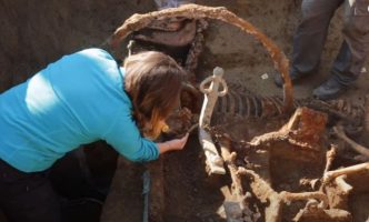 Археолози од Турција пронашле остатоци од Тројанскиот коњ