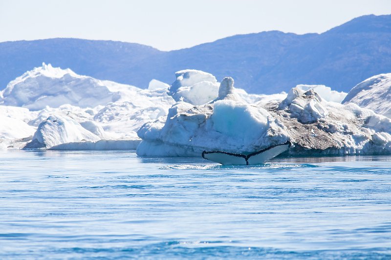 На Гренланд откриен нов остров кој е најсеверна копнена точка на светот