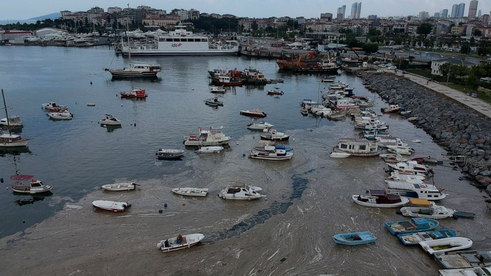 (Фото) Тињата што го прекри Мраморното Море се заканува да се прошири на Егејското и Црното море и да стане еколошка катастрофа