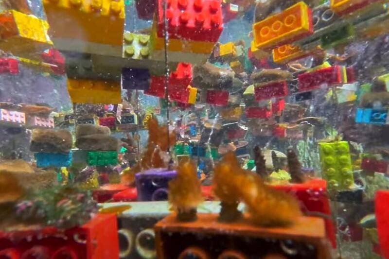 Lego коцките би можеле да ги спасат коралните гребени на Сингапур (ВИДЕО)