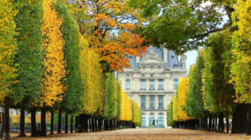 Париз ќе засади 170.000 дрвја за да се намали загадувањето во градот