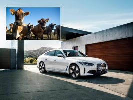 BMW ќе користи кравји измет за погон на електричните автомобили