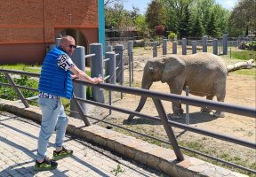 Директорот на Зоолошката градина поднесе оставка: Другари се враќам на улица