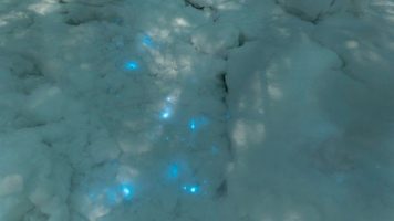 Мистериозен светлечки снег ги маѓепса научниците (ВИДЕО)