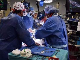 Американски хирурзи првпат пресадија срце од свиња на човек