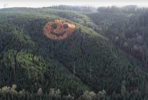 (Видео) Секоја есен огромен „смајли“ се појавува во шумата во Америка