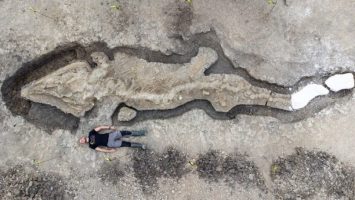 Огромен фосилизиран „морски змеј“ пронајден во Англија