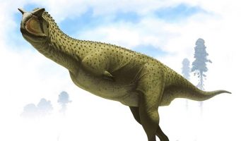 Во Аргентина е откриен нов вид на диносаурус