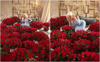 Карлеуша доби стотици ружи за Денот на Вљубените