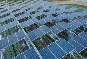 Кенија тестира нови соларни панели кои ќе произведат струја и ќе осигураат храна