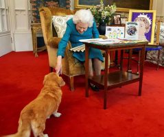 Кралицата Елизабета лансираше парфем за кучиња со мирис на крајбрежни прошетки